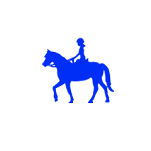 Equestrian insurance